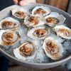 Where To Get Cheap Oysters In NYC During Saturday's Oyster Day Festivities